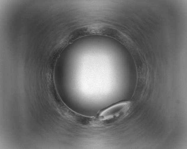 X0000067500603200604071228