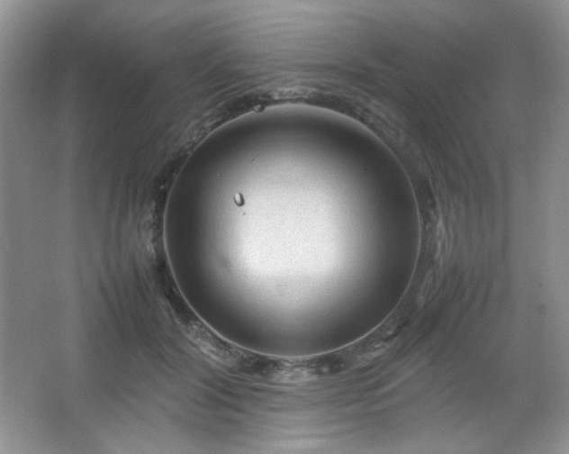 X0000067500604200604071228