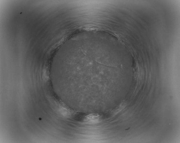 X0000067500606200604071228