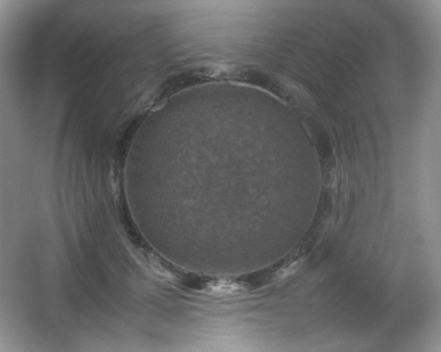 X0000067500607200604071228