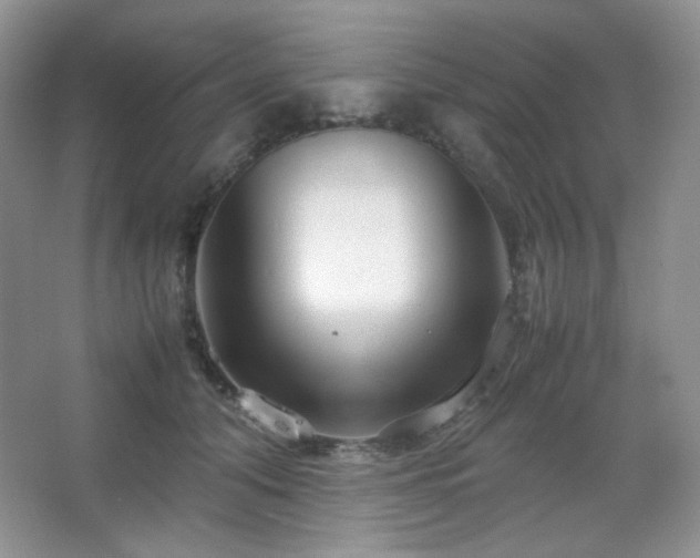 X0000067500608200604071228