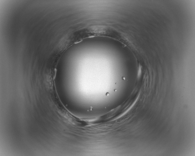 X0000067500609200604071228