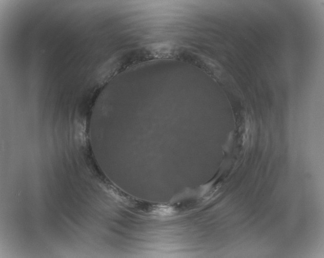 X0000067500610200604071228