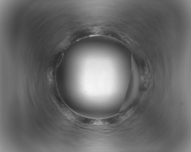 X0000067500611200604071228