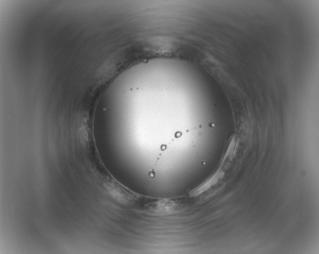 X0000067500612200604071228