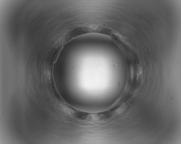 X0000067500613200604071228