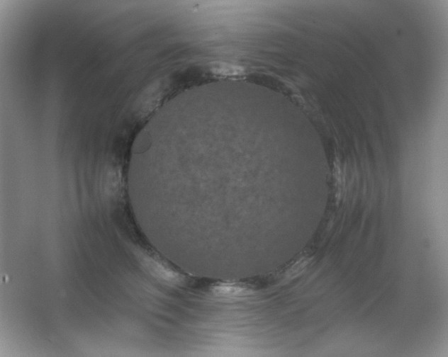 X0000067500614200604071228