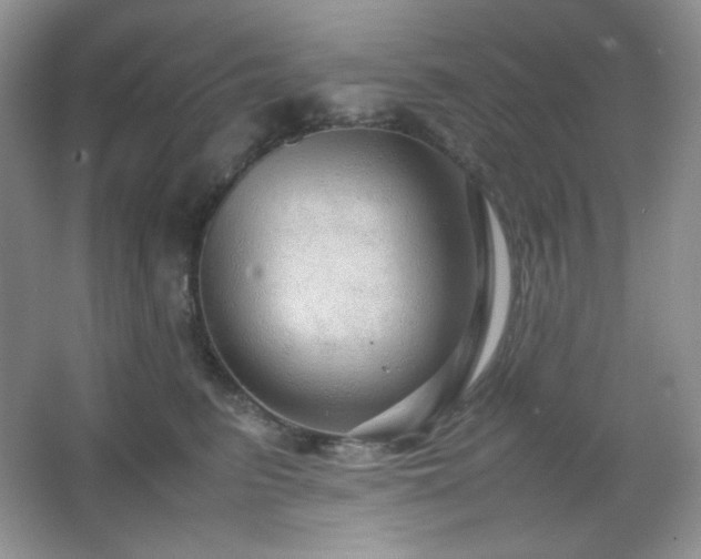 X0000067500615200604071228