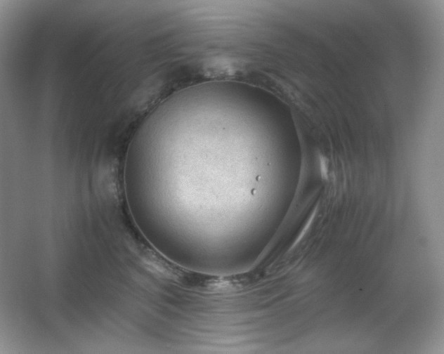 X0000067500616200604071228