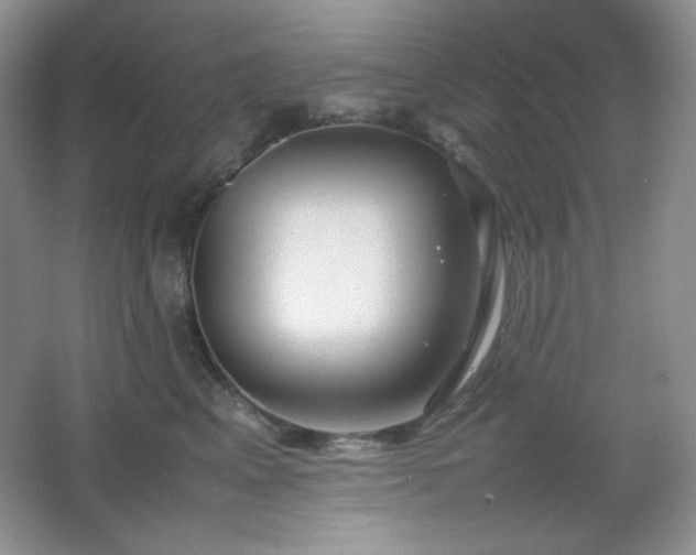 X0000067500617200604071228