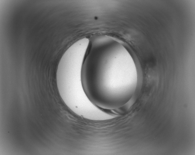 X0000067500619200604071228