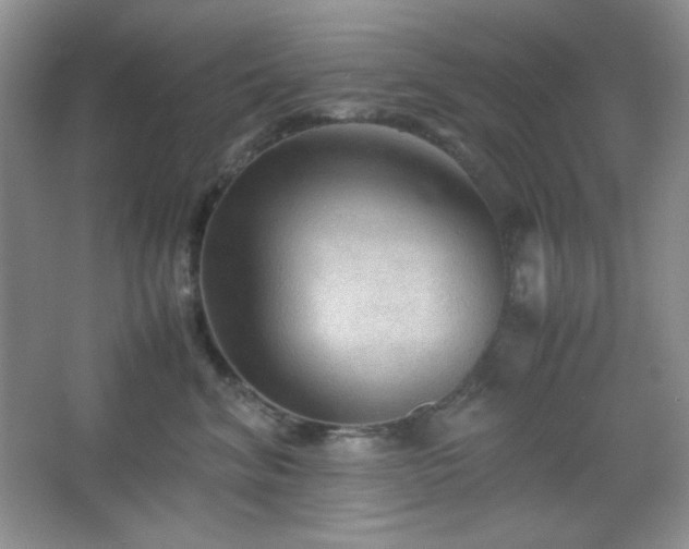 X0000067500620200604071228