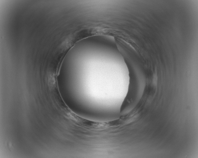 X0000067500621200604071228