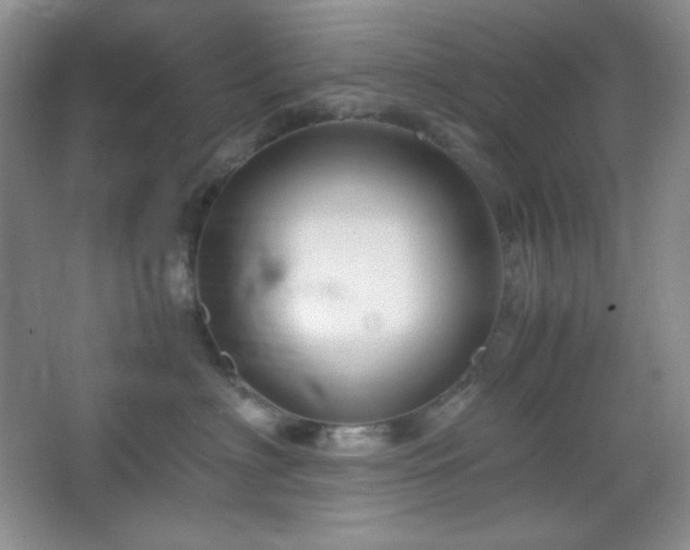 X0000067500622200604071228