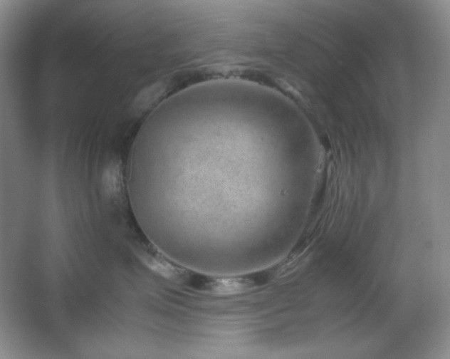 X0000067500623200604071228