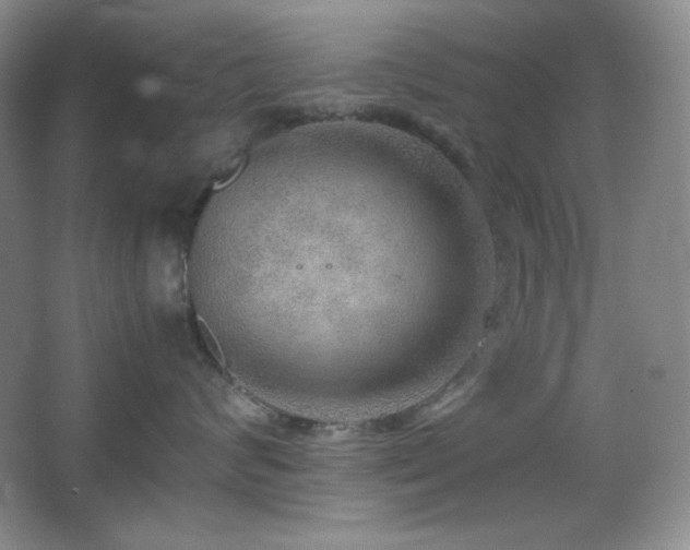 X0000067500624200604071228