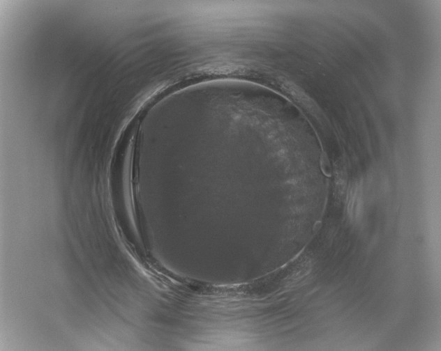 X0000067500626200604071227