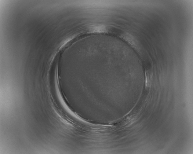 X0000067500627200604071227