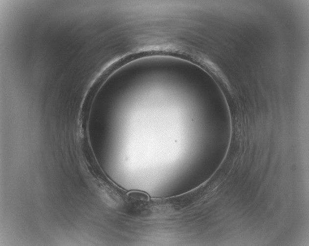 X0000067500628200604071227