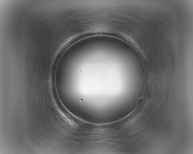 X0000067500629200604071227