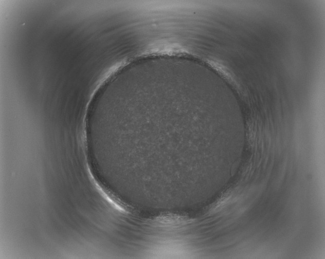 X0000067500630200604071227