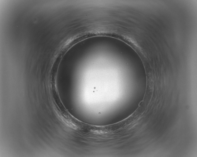 X0000067500631200604071227