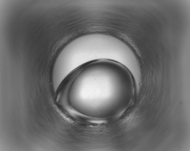 X0000067500633200604071227