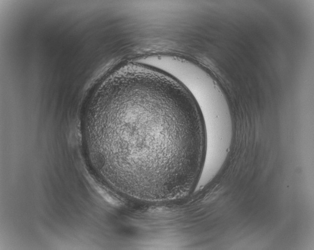 X0000067500634200604071227