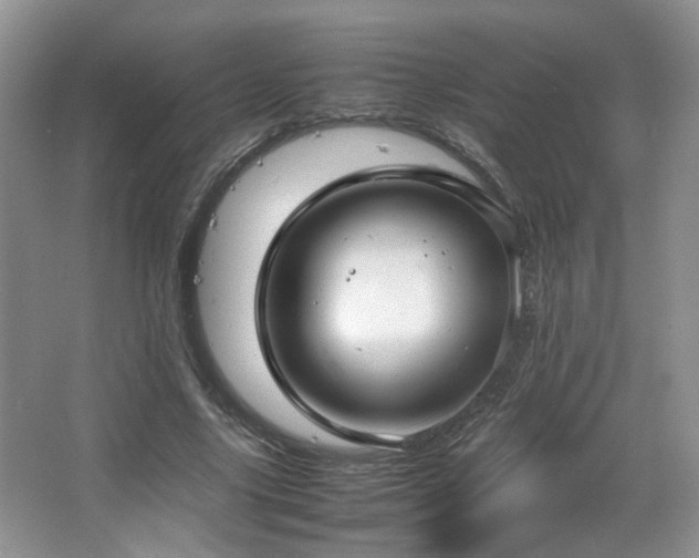 X0000067500635200604071227