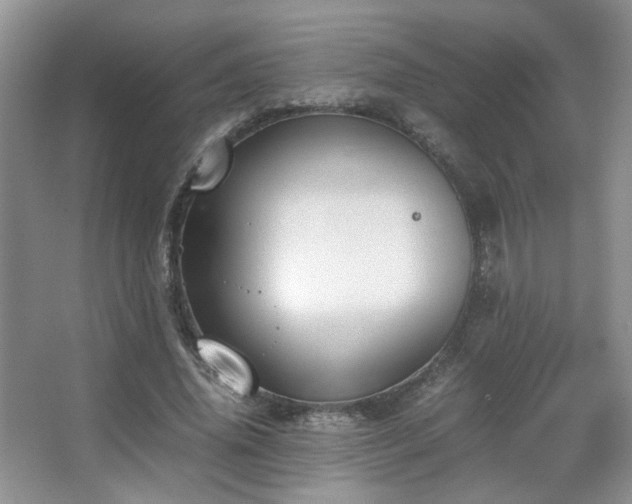 X0000067500636200604071227