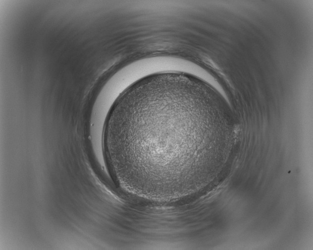 X0000067500637200604071227