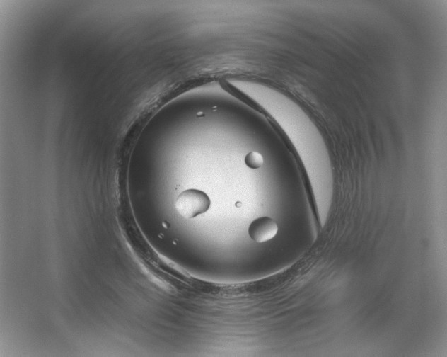 X0000067500638200604071227