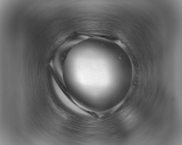 X0000067500639200604071227