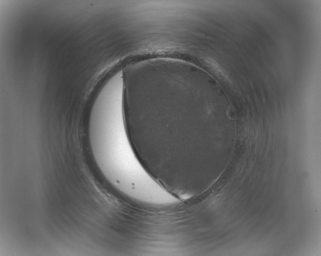 X0000067500640200604071227