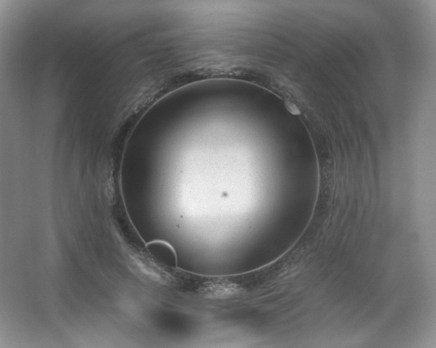 X0000067500642200604071227