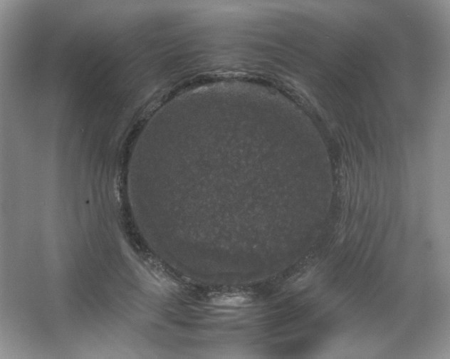 X0000067500643200604071227