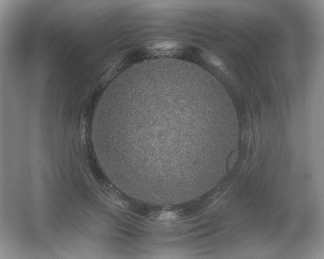 X0000067500647200604071227