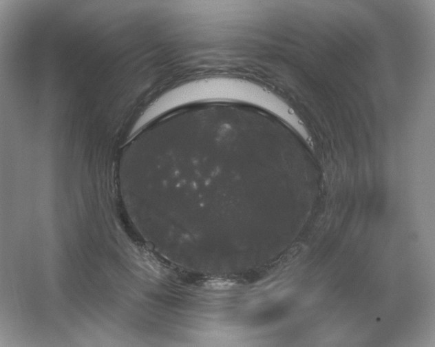 X0000067500650200604071227