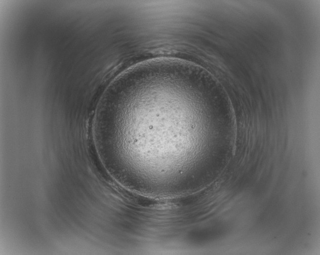 X0000067500652200604071227