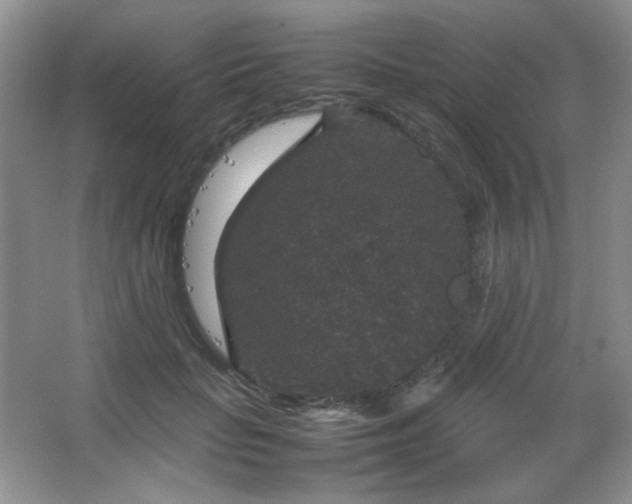 X0000067500653200604071227