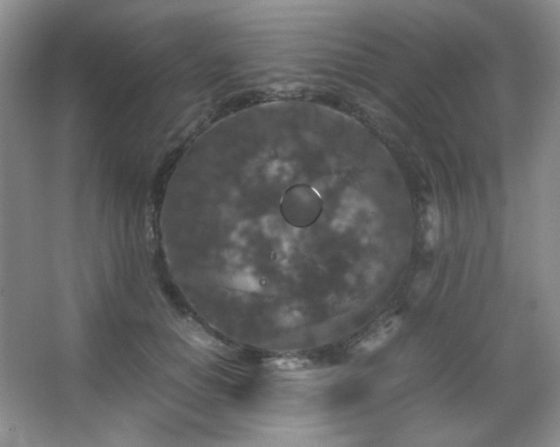 X0000067500654200604071227