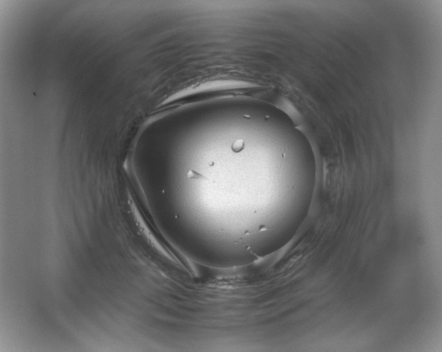 X0000067500655200604071227