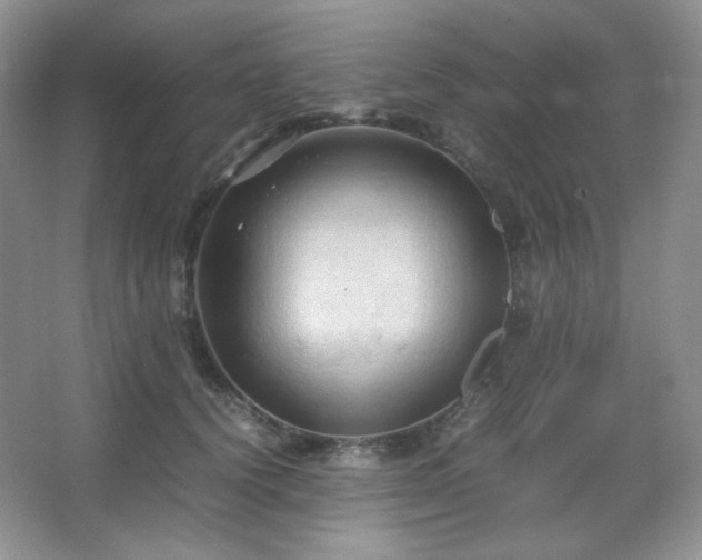 X0000067500656200604071227