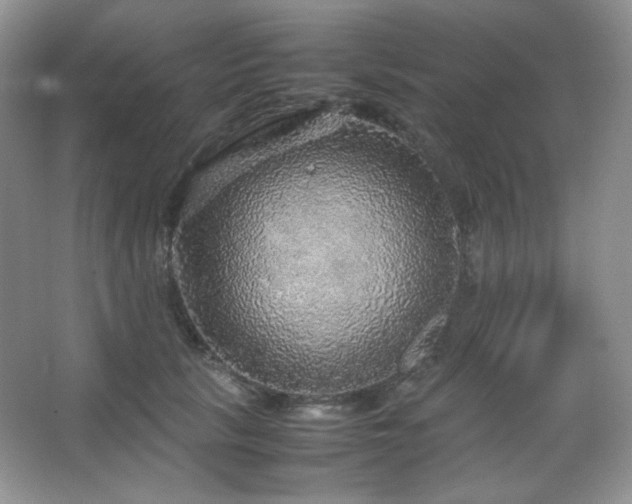 X0000067500657200604071227