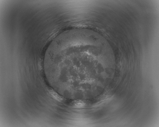 X0000067500658200604071227