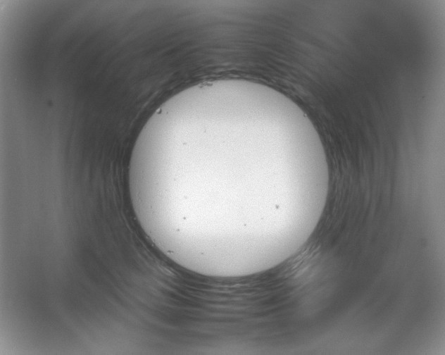 X0000067500661200604071227