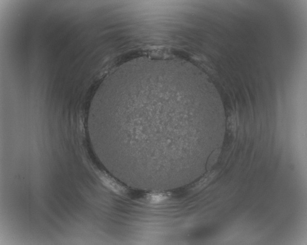 X0000067500662200604071228