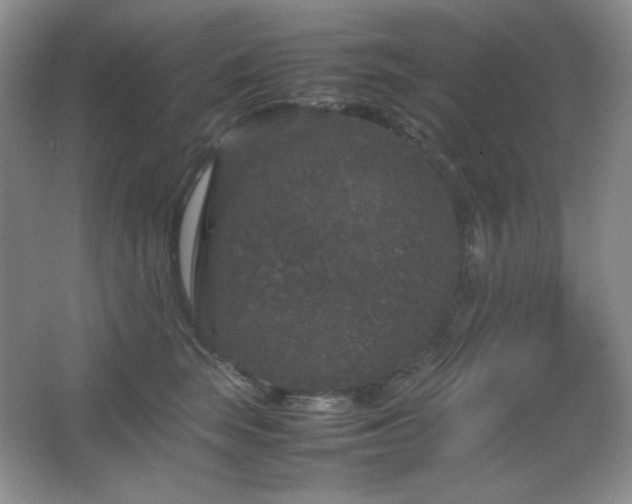 X0000067500663200604071228