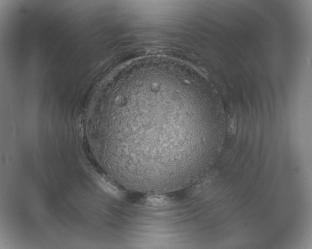 X0000067500666200604071228