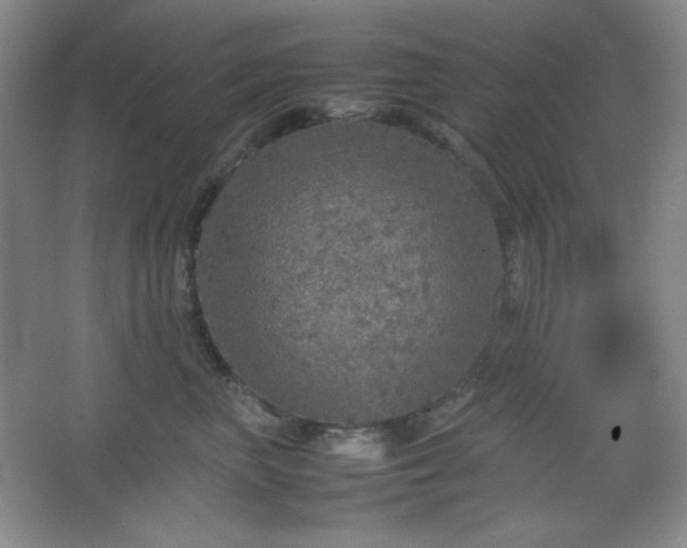 X0000067500667200604071228